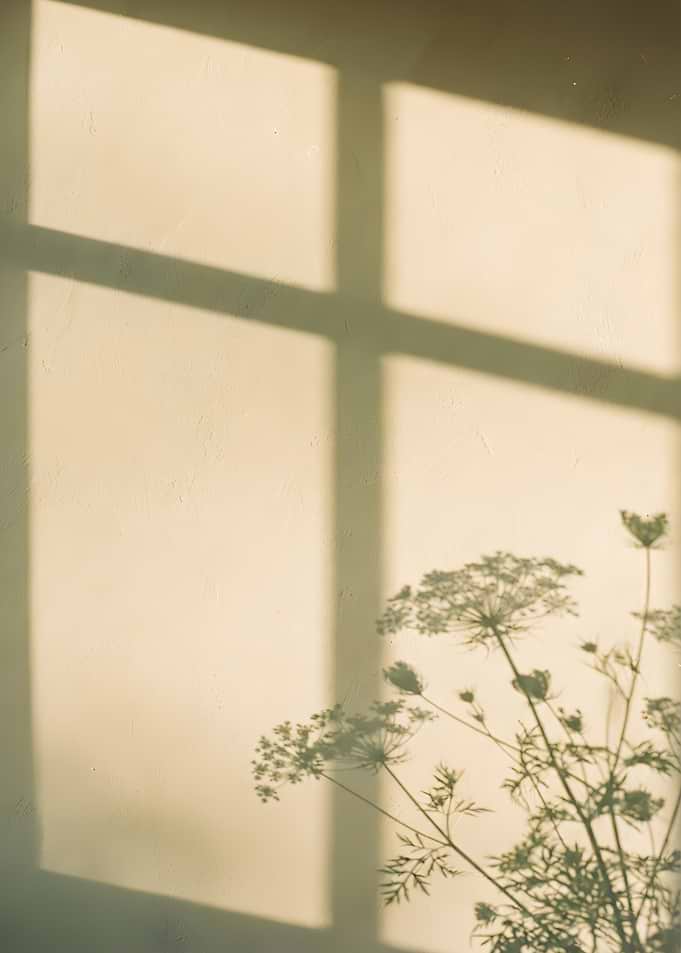 Minimalist Shadow of Wildflowers on Wall