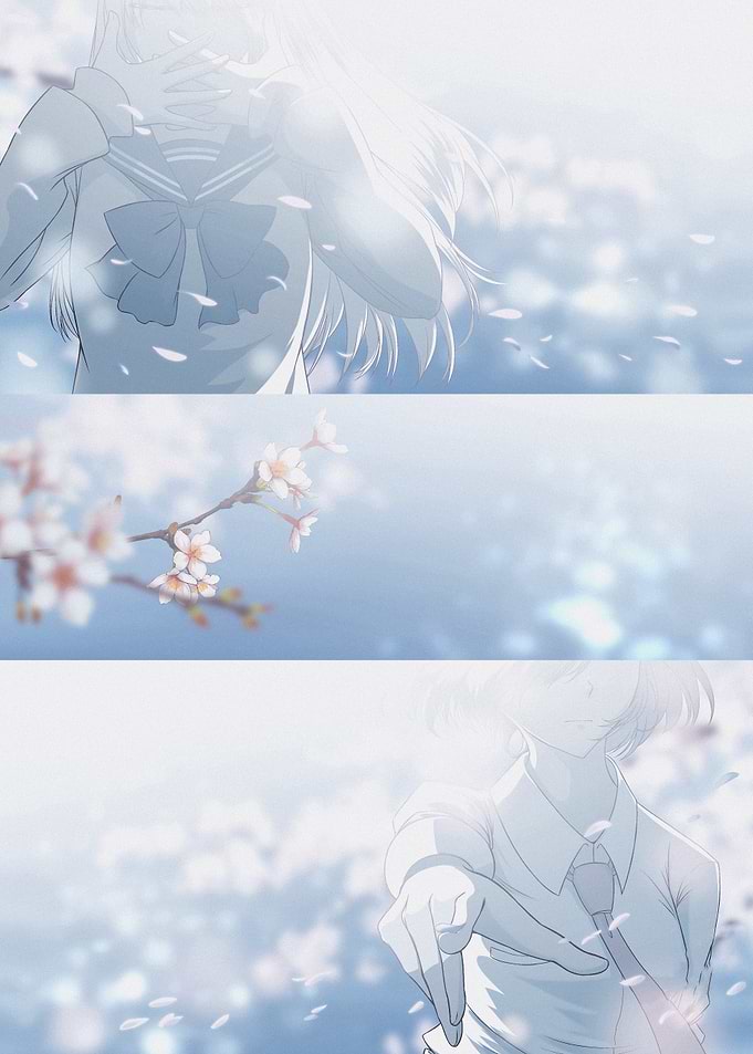 Anime School Girls and Cherry Blossoms