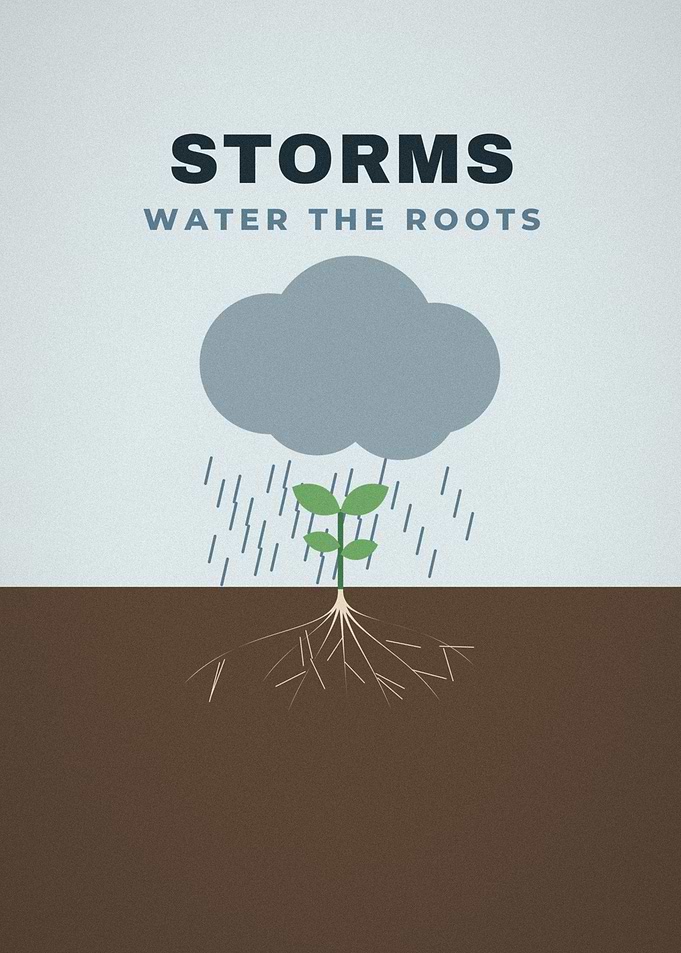 Storms Water The Roots Sprout In Rain Poster