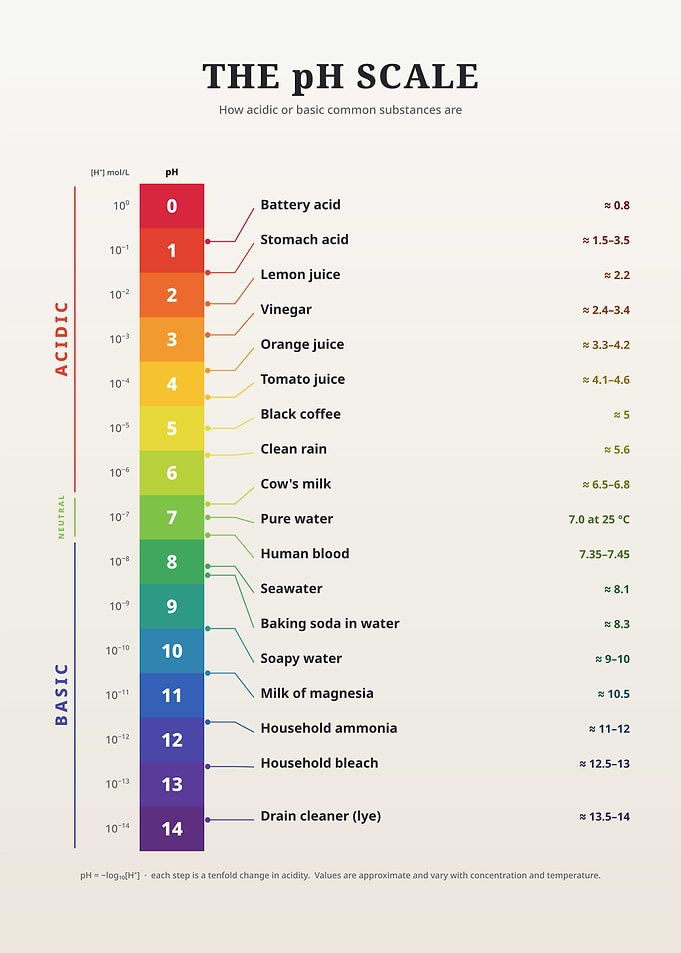 Educational pH Scale Infographic Chart