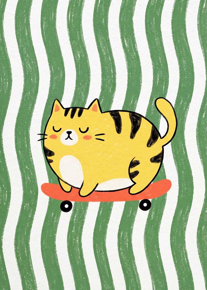 Cute Chubby Cat on Skateboard