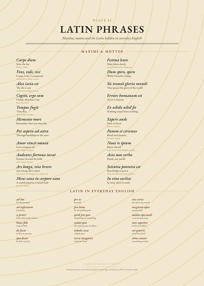 Latin Phrases Educational Poster