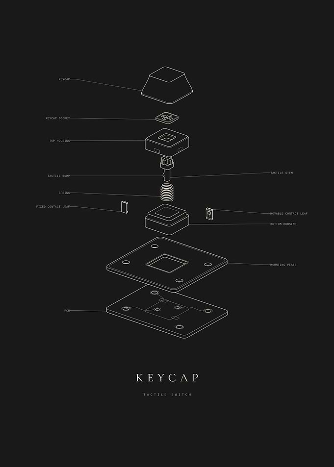 Mechanical Keycap and Tactile Switch - Exploded View