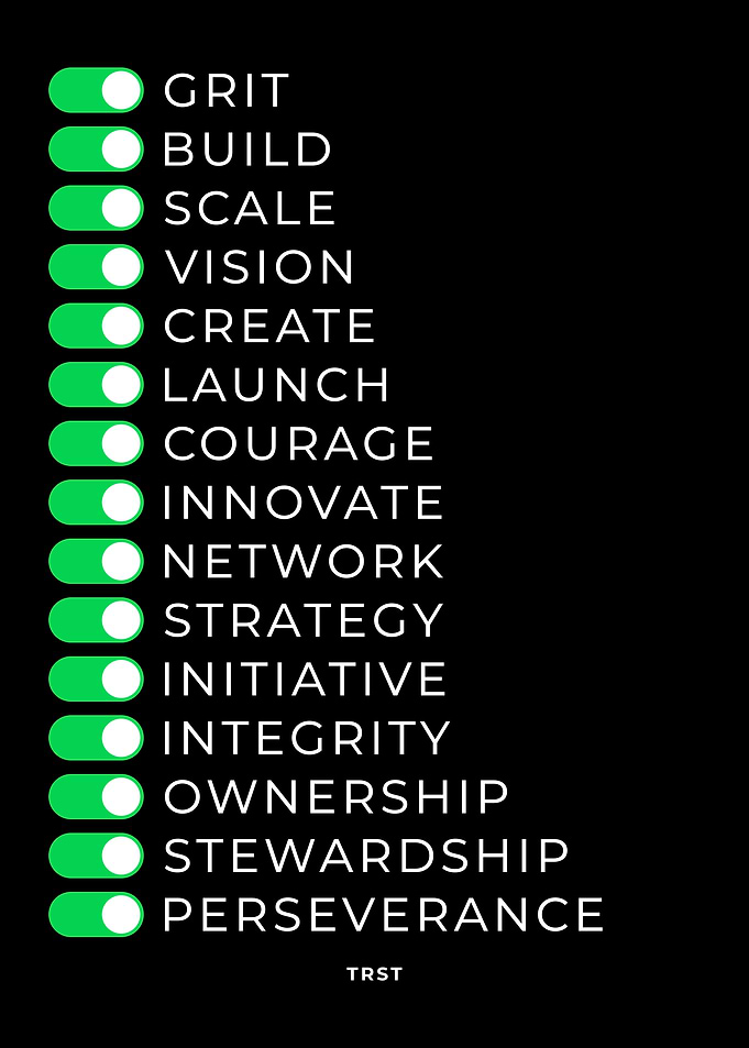 Builder Switches – Vision, Strategy, Perseverance Entrepreneur Poster