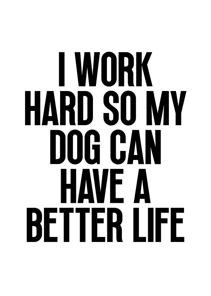 I Work Hard For My Dog
