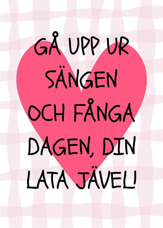 Funny Swedish Motivational Quote Poster