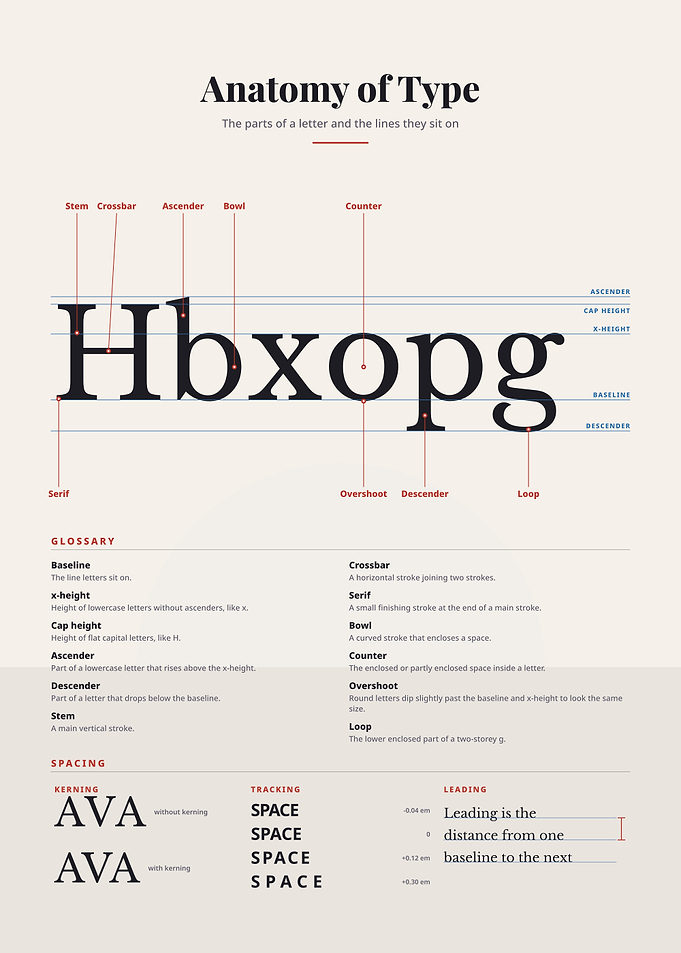 Anatomy of Type Educational Poster