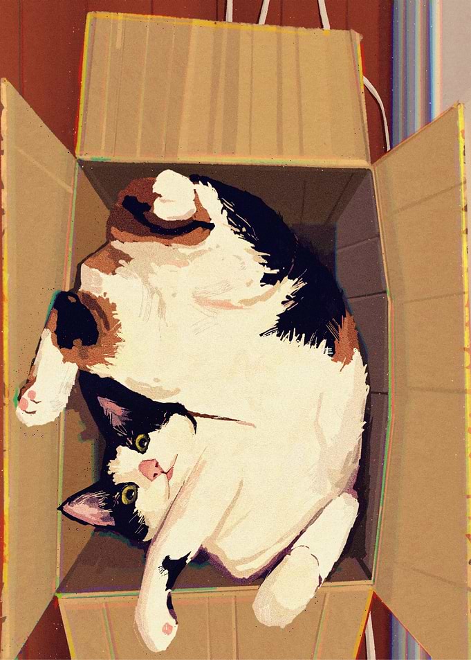 Calico Cat Relaxing in Cardboard Box