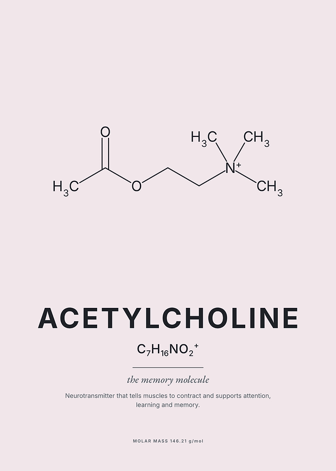 Acetylcholine Molecular Structure Poster