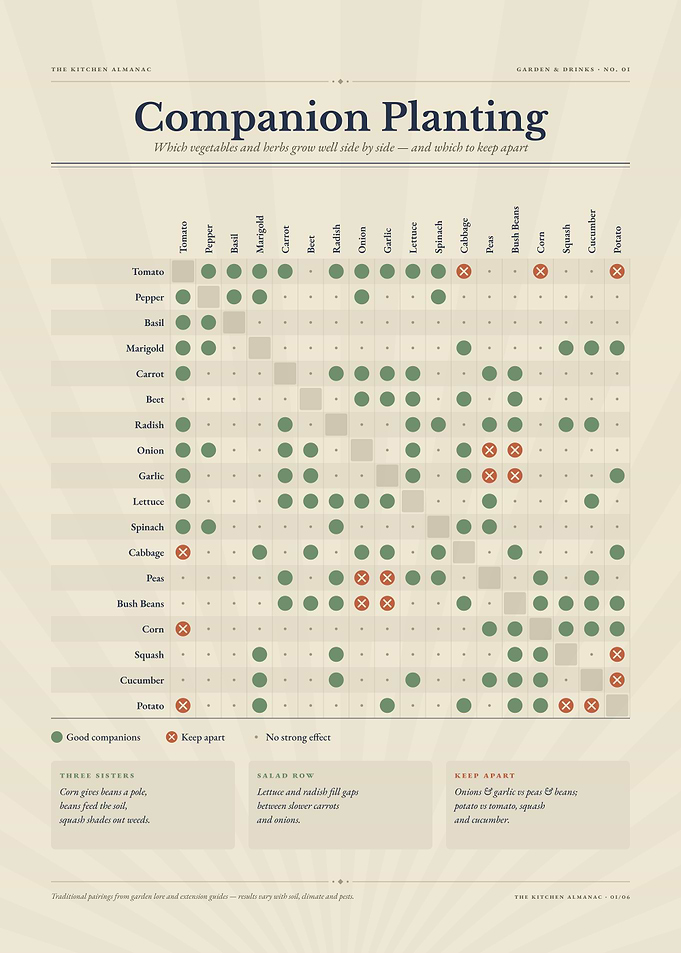 Companion Planting Vegetable Garden Guide Chart