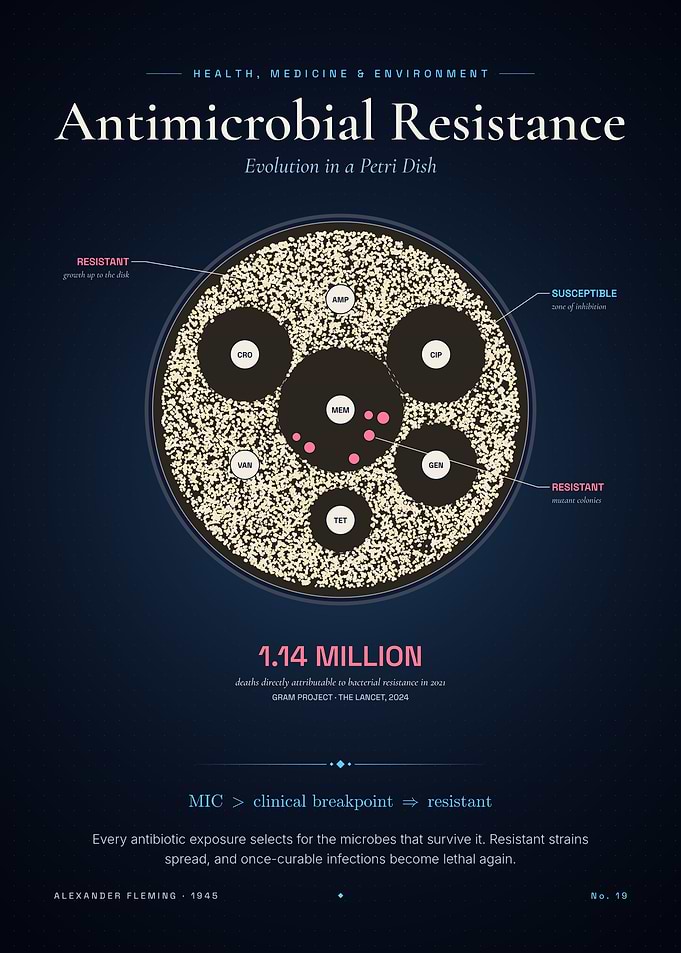 Antimicrobial Resistance – Evolution in a Petri Dish