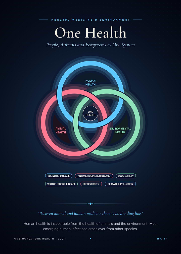 One Health Concept Infographic Poster