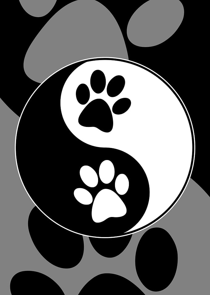 Paw Print Yin Yang Symbol