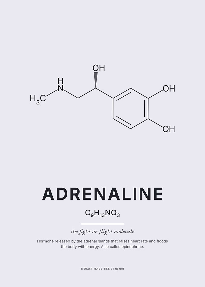 Adrenaline Molecule Scientific Poster