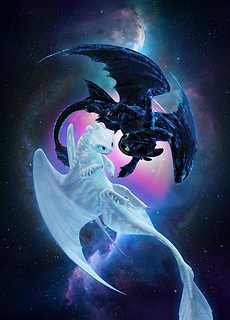 Night and Light Fury