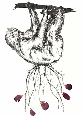 Sloth - Indian ink and mixed media