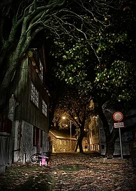 Saw this interesting spot, the leaves on the road, just ...