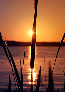 Sunset on Pigeon Lake, Ontario.