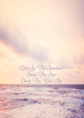 Live In the Sunshine