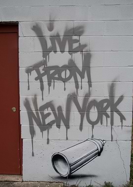 This is the title plate of a series of graffiti taken i ...