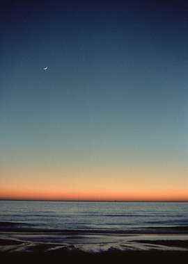 I was watching the sunset at Ocean Beach in San Francis ...