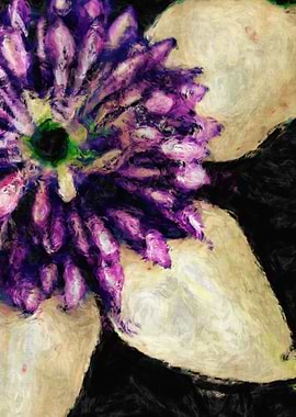 clematis photo digitally processed