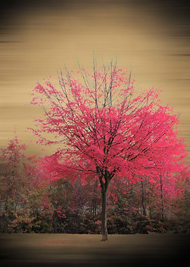 Pink Tree