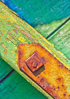 Rusty bolt on rotten green wood - ©Silvia Ganora - Do n ...