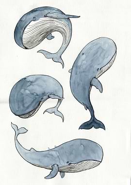 I love whales ... or was it wales?