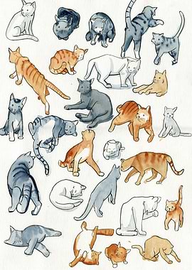 Hey internet! I drew as many cats as I could. Here you ...