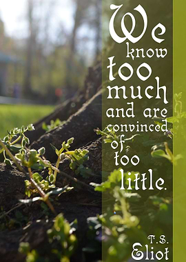 'We know too much and are convinced of too little.'