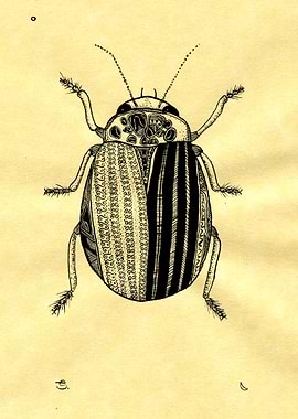 Precious little bugger. freehanded ink.