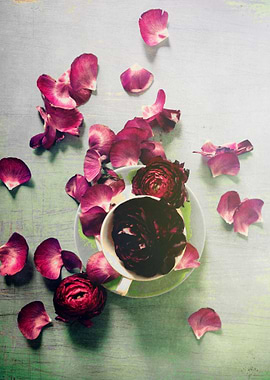 Purple ranunculus petals are scattered across a lovely ...