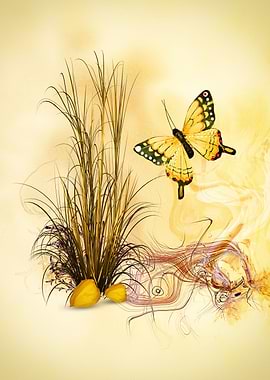 the last butterfly of the year