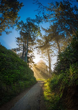 I'd hit Devil's Punch Bowl for some sunrise shooting bu ...