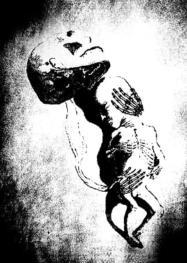 I had a fight with my mom years ago and we didn't talk ...