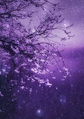 CATCH A FALLING STAR