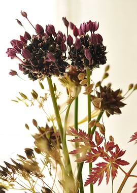 Some nice flower from our country house.