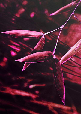 Bamboo leaves colored