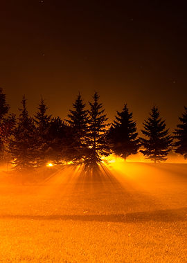 Walking home late at night I cam across a field that lo ...