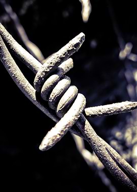 Taken on Hasliberg in Switzerland.