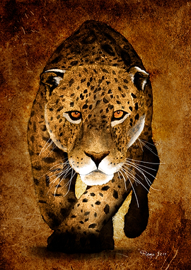 From sketches to digital painting, The Wild Collection. ...