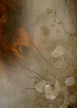 My beloved cat portrayed