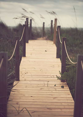 'MidSummer Eve' - Sea oats swaying along a path to the ...
