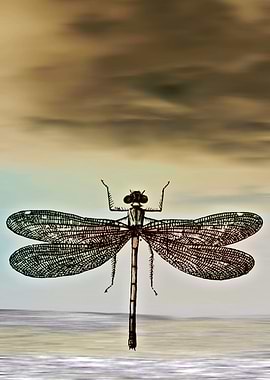 DRAGONFLY