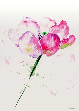 Watercolor expression, tulip illustration in pink, ivor ...