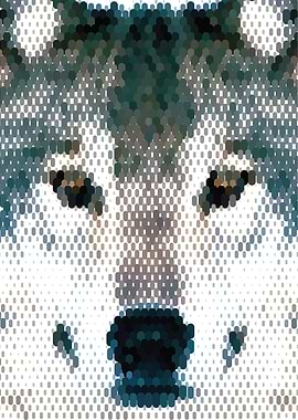 Wolf Portrait Mosaic - Vector Art
