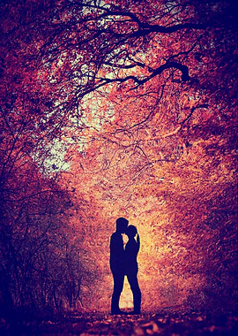 THE STORY OF MY LIFE