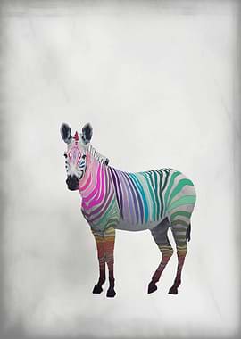 RAINBOW ZEBRA WHITE