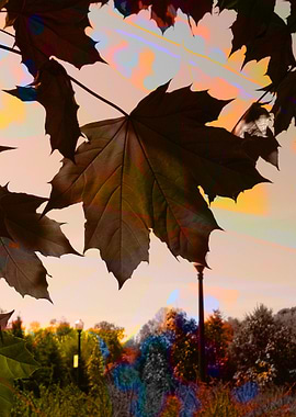 Landscape from Montreal CA